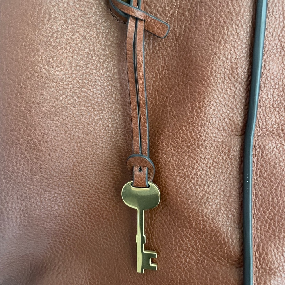Fossil Lane Satchel - Picture 2 of 7